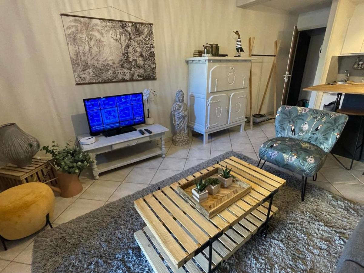 Le Patio, Coeur De Ville Avec Garage Et Jardin ヴァンヌ エクステリア 写真