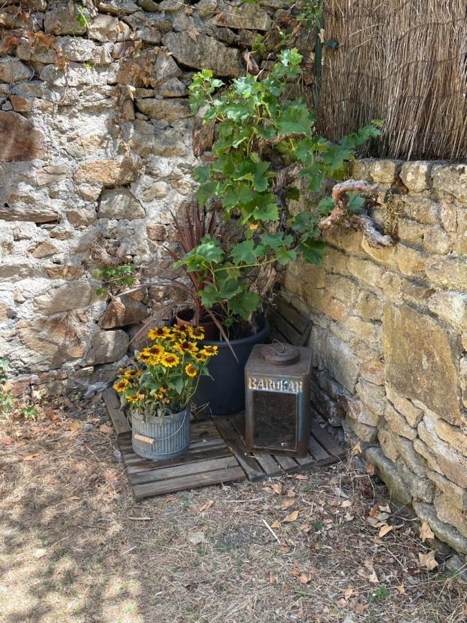 Le Patio, Coeur De Ville Avec Garage Et Jardin ヴァンヌ エクステリア 写真