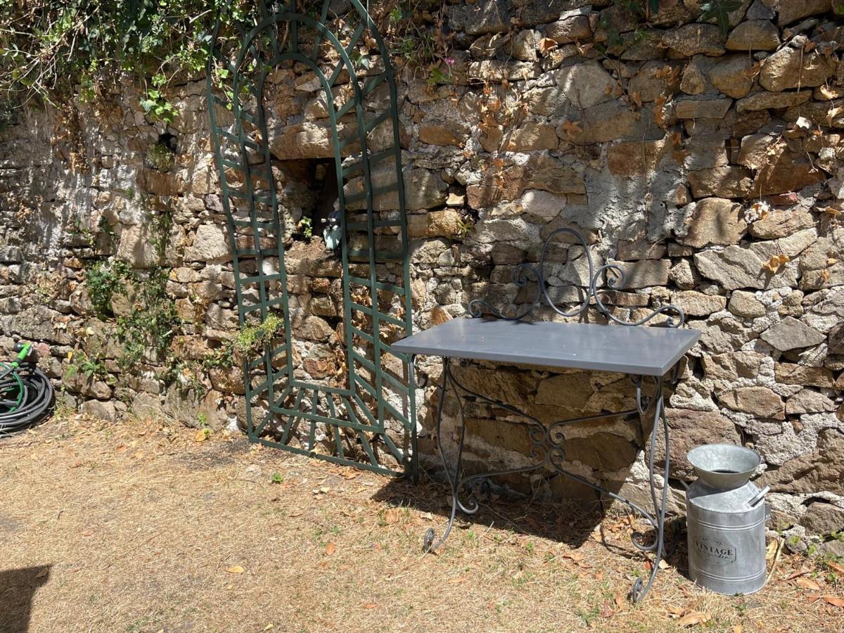 Le Patio, Coeur De Ville Avec Garage Et Jardin ヴァンヌ エクステリア 写真